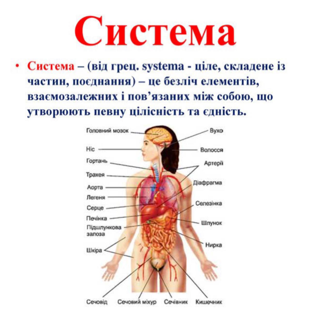 biology image