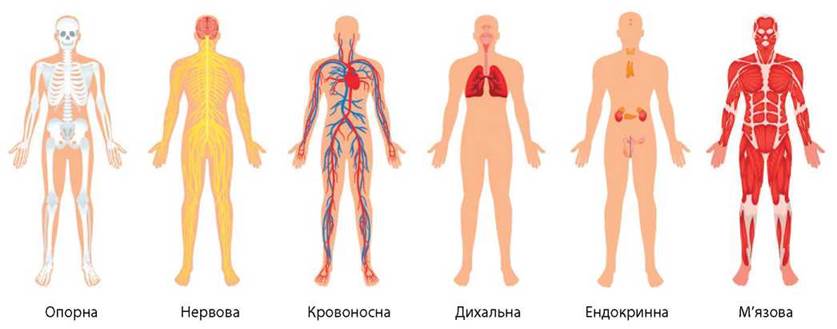 biology image